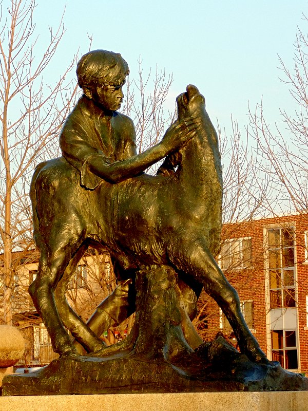 Enfant avec veau