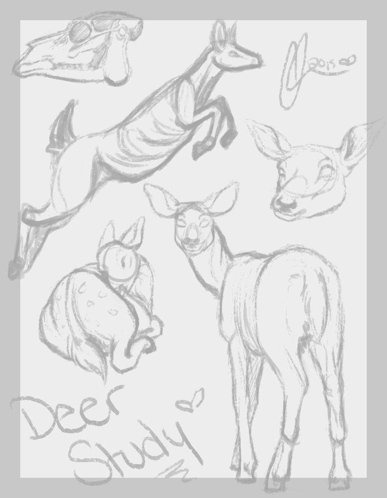 Doe Study