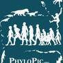 PhyloPic T-shirt: Human Evolution