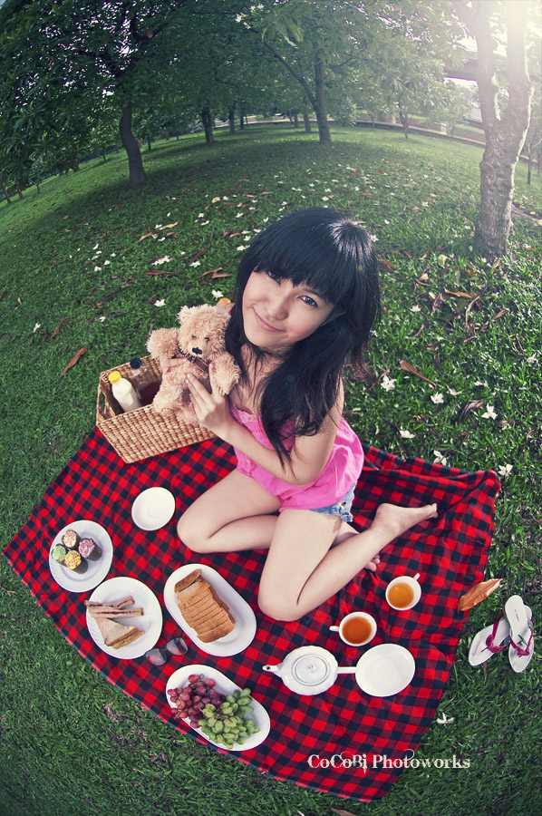 Picnic with Teddy