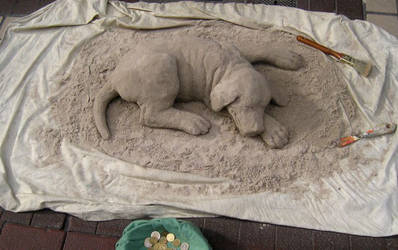 Sand puppy