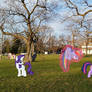 Ponies on Campus