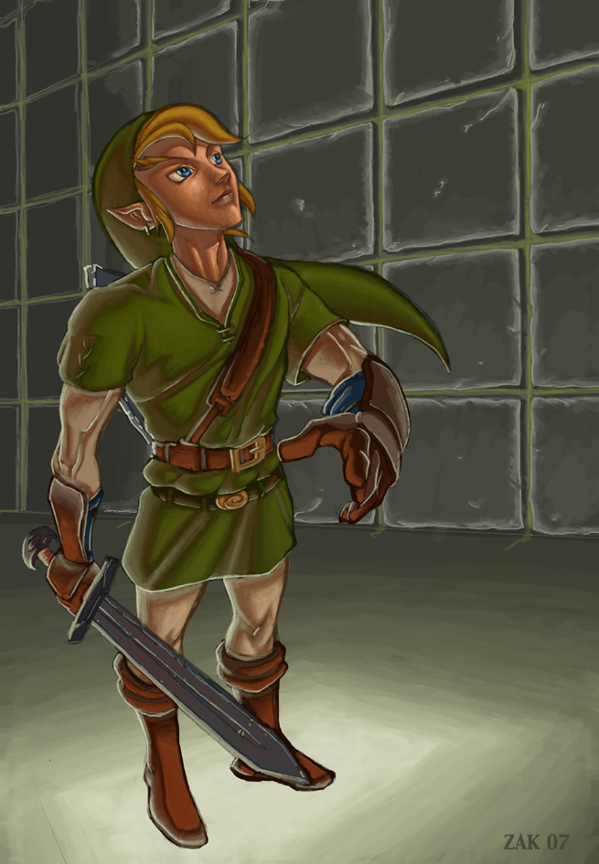 Link in the Twilight