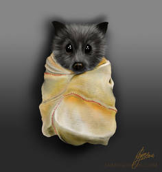 Sketch - Baby Fruit Bat