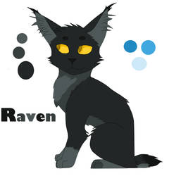 Warrior's oc Raven