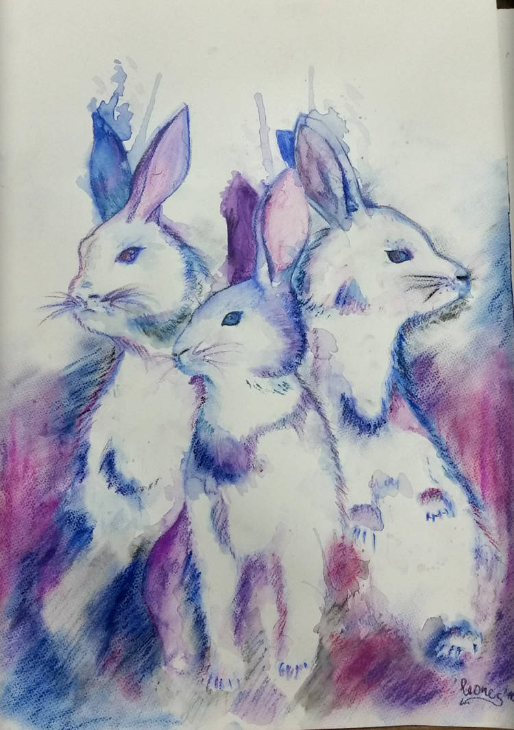 Rabbits by kieraleones on DeviantArt
