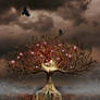 Heart of Darkness