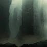 colony