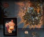 Composer's Cerebral Cortex by MANDELWERK