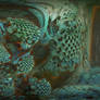 Second year of the MANDELBULB