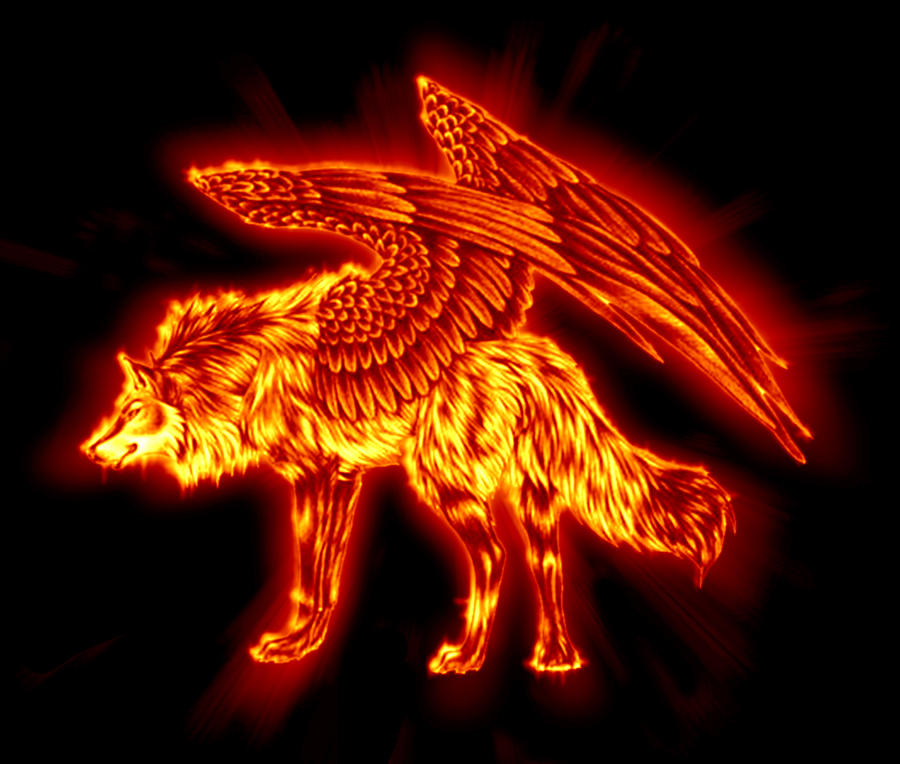 Flaming wolf by Veirdo on DeviantArt