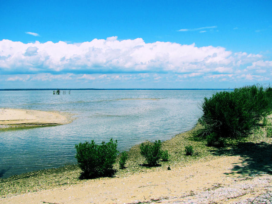 Chippokes Beach