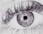 Eye study by susanjo