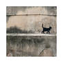 Little Cat - Pt II