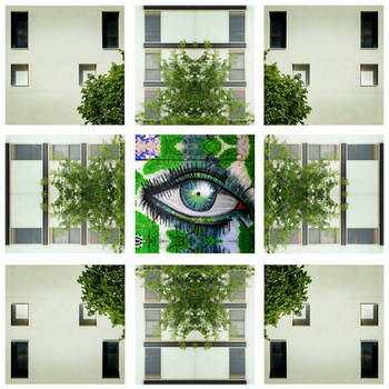 display windows of the city