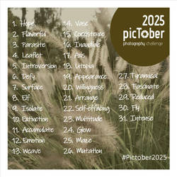 pictober 2025 : promptlist