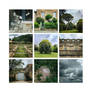 le jardin de l'aube