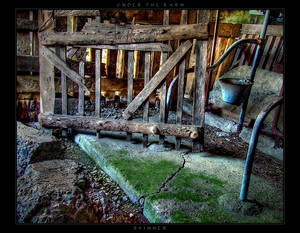 Under the Barn