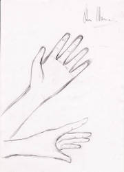 Hand's Sketch
