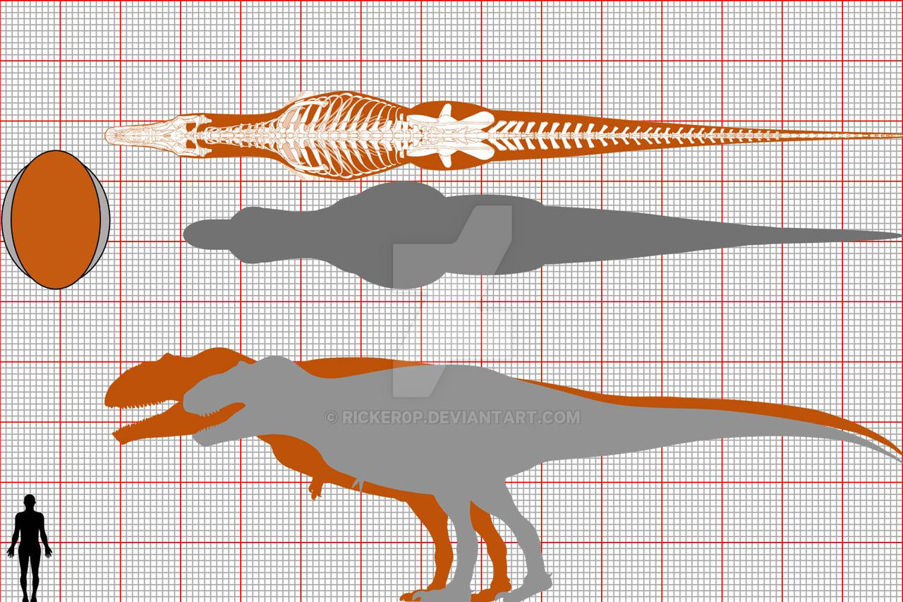 Giganotosaurus Size Comparison To T Rex