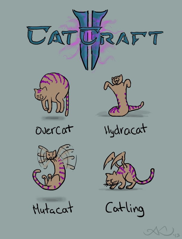 Catcraft 01