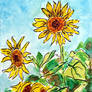 2023 Sunflowers