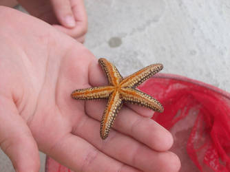 a star on my hand