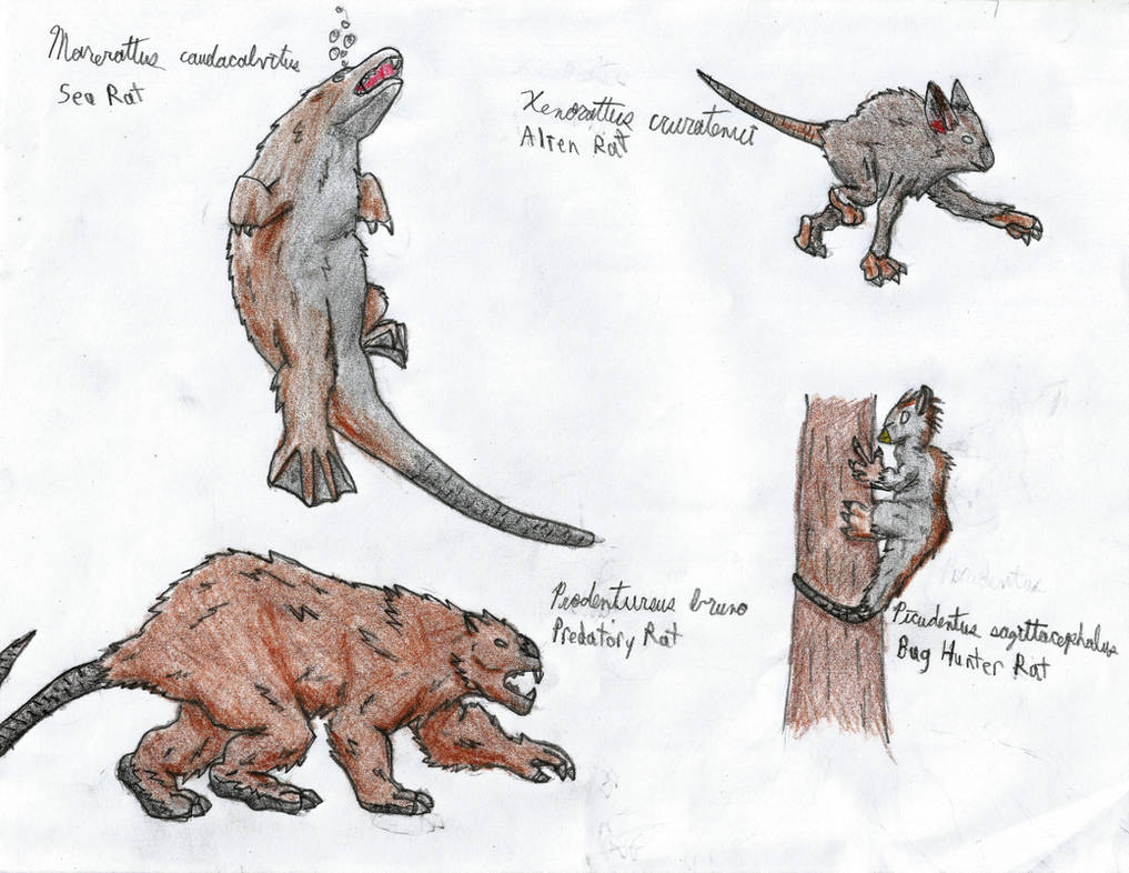 Rats of the Farther Future by Newworlds117 on DeviantArt