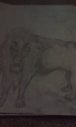 Lion (No Ref)