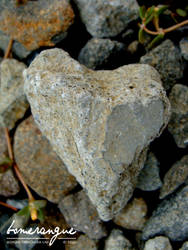 Heart of Stone