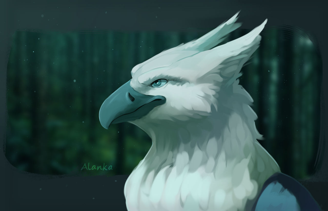 Griffin by ALANKA-ILP on DeviantArt
