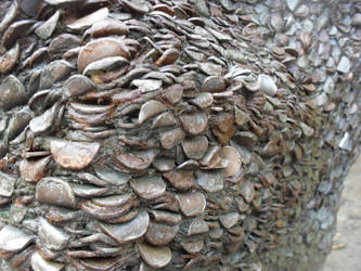 Coin Tree