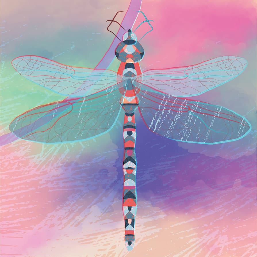 Dragonfly Deviantart Dragonfly by TanyaIkos on DeviantArt