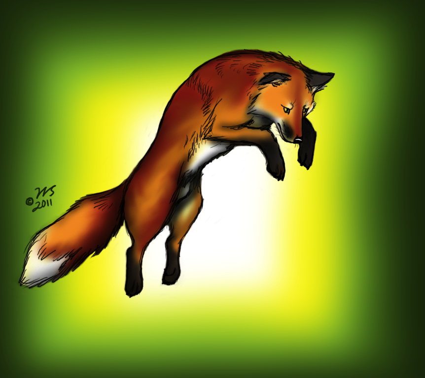 Pouncing Fox Sketch