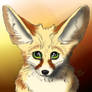 Green Eyed Fennec