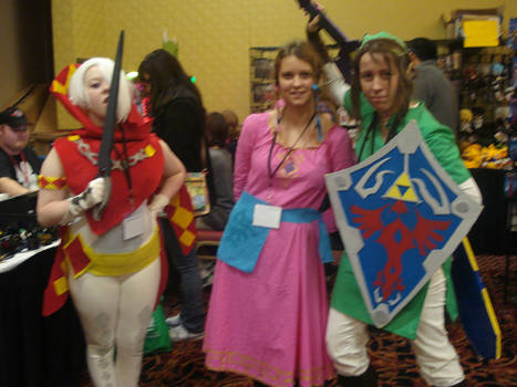 Legend of Zelda: Skyward Sword at A2F 2011