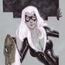 Black Cat, Convention Sketch