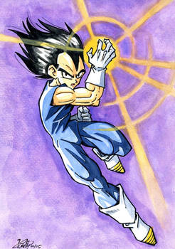 Vegeta fighting