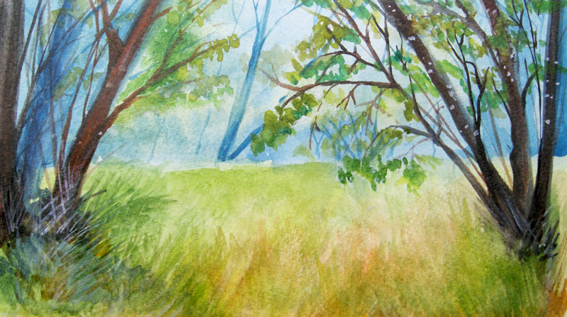 watercolor forest
