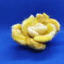 The yellow rose