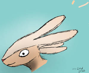 Rabbit Thing
