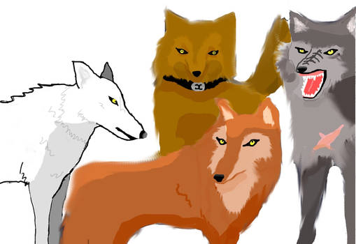 Wolf's Rain Pack