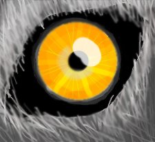 Wolf's Eye