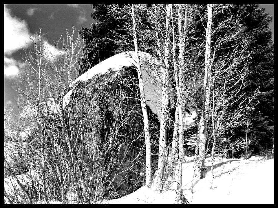 june mountain b+w