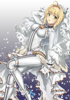 FA: Saber Bride