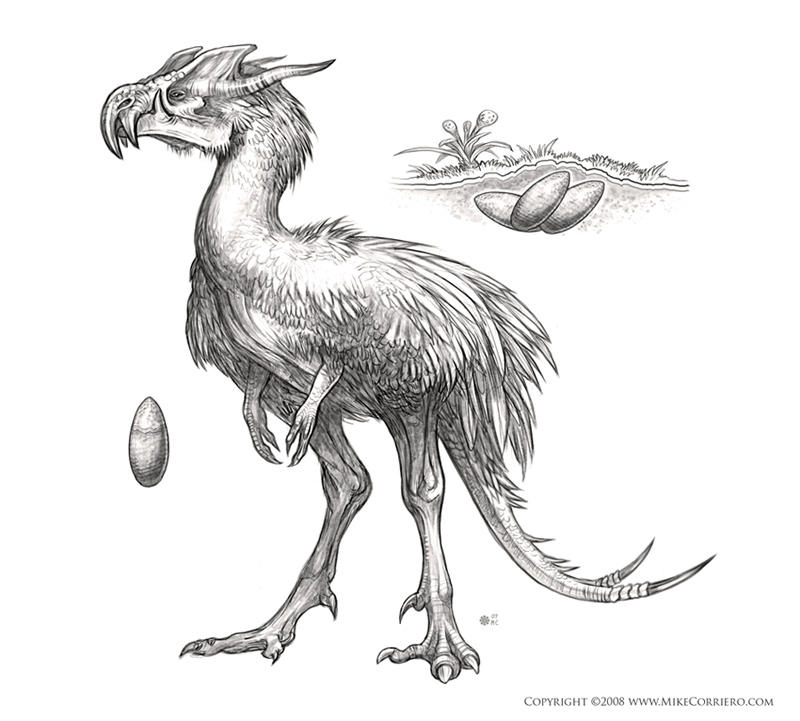 Terror Bird sketch by MIKECORRIERO on DeviantArt