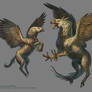 Hulking Hippogriff