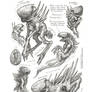 Creature Sketch Page Xenomorphs