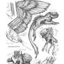Creature Sketch Page Xenomorphs 02