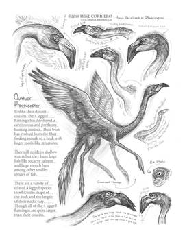 Creature Sketch Page 4 legged Flamingo